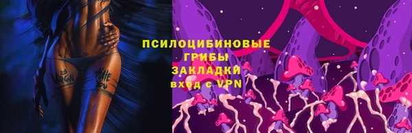 кокс Алексин