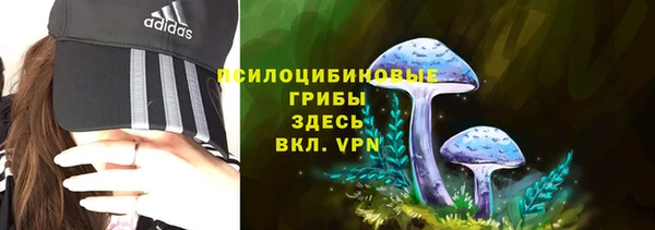 ешки Абаза