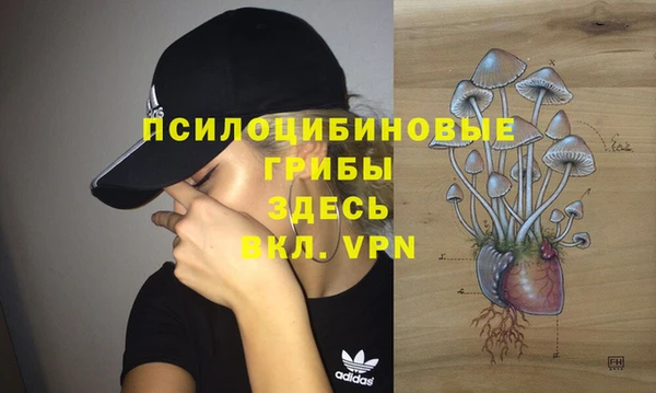 ешки Абаза