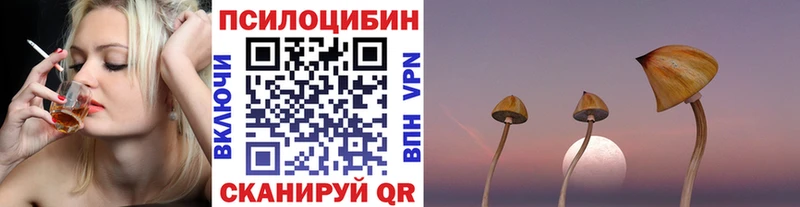 Псилоцибиновые грибы Psilocybe  Новомичуринск 